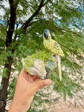 Parrot carving on Aquamarine