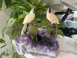 Parrot carving Pair on Amethyst cluster