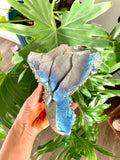 Titanium Quartz