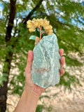 Toucan carving on Green Aventurine - Citrine Tree