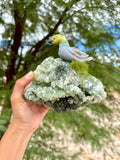 Duck carving in a Prehnite Garden