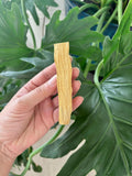 Cleansing & Protection Giftset