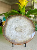 Agate Slice