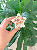 Love & Light Giftset