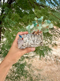 Crystal Parrot on Petrified Wood with Aventurine Tree