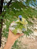Parrot carving on Aquamarine
