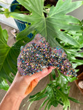 Titanium Quartz