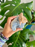 Bird carving on Celestite
