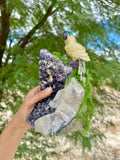 Parrot carving on Amethyst Cluster - Handcrafted
