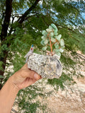 Crystal Parrot on Petrified Wood with Aventurine Tree
