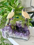 Parrot carving Pair on Amethyst cluster