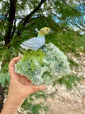 Duck carving in a Prehnite Garden