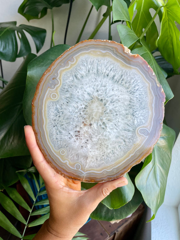 Agate Slice