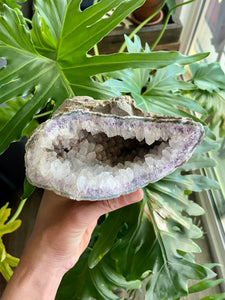 Amethyst Geode