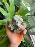 Pyrite & Calcite