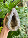 Amethyst Geode