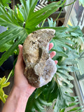 Amethyst Geode