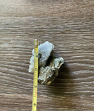 Pyrite & Calcite