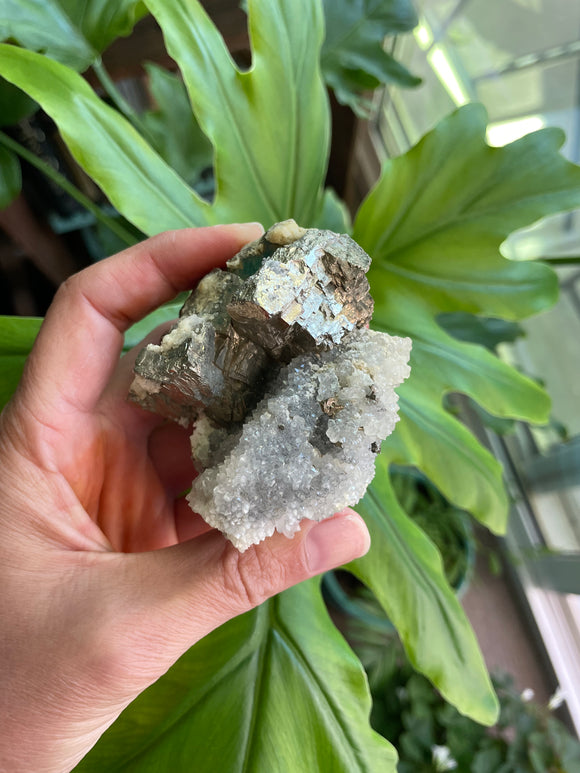 Pyrite & Calcite
