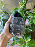 Smoky Quartz