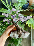 Amethyst Crystal Tree