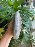 Ocean Jasper Freeform