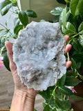 Flower Amethyst