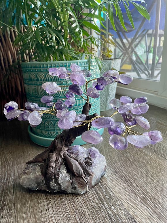 Amethyst Crystal Tree