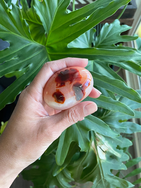 Carnelian Palmstone