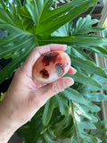 Carnelian Palmstone