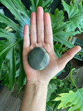 Polychrome Jasper Palmstone