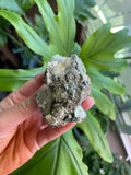 Pyrite & Calcite